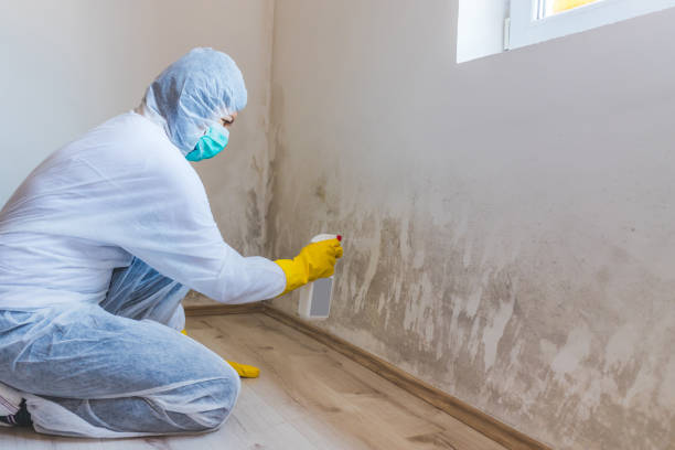 Crawl Space Mold Removal in Oakland, MD