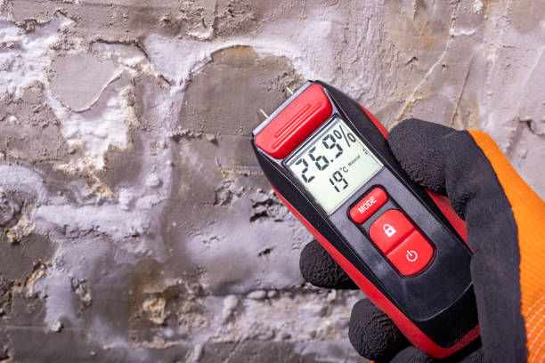 Best Toxic Mold Removal  in Oakland, MD