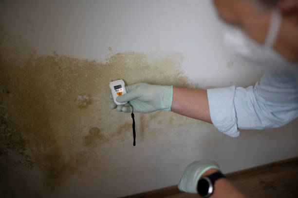 Best Crawl Space Mold Removal  in Oakland, MD