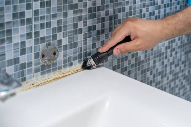 Best Mold Damage Repair  in Oakland, MD